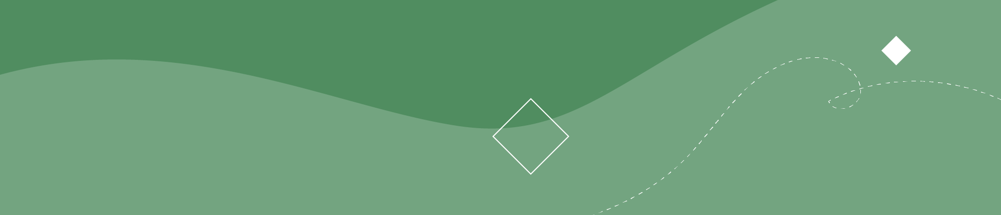 Banner verde