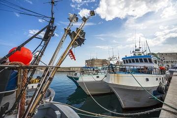 Fermo pesca 2020 360x240