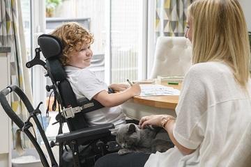 disabilita 360x240