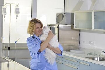 veterinario 360x240
